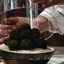 Comment découvrir la truffe : techniques et astuces
